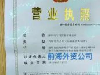 企業資產與服務的多元轉讓 深圳前海資本管理、外資公司、重慶翻譯與基礎軟件服務