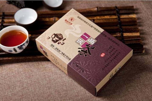劉杏益 以甲殼素農業肥料研發，踐行制茶大師的行業使命